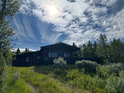Bilde 1 av annonsen