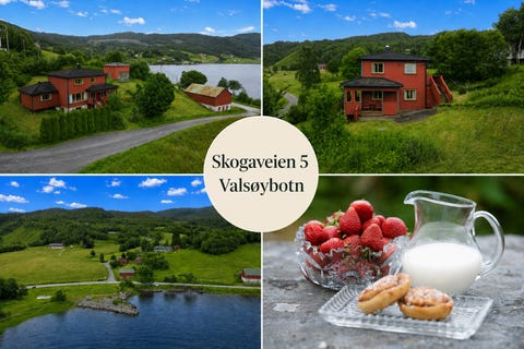 Bilde 1 av annonsen