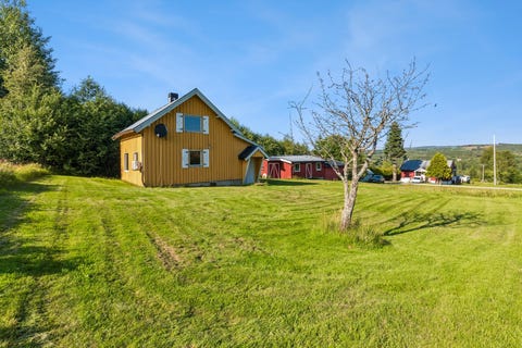Bilde 1 av annonsen