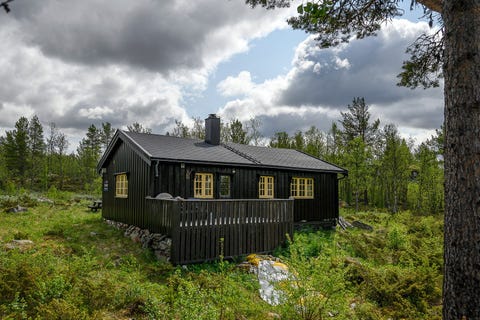 Bilde 1 av annonsen