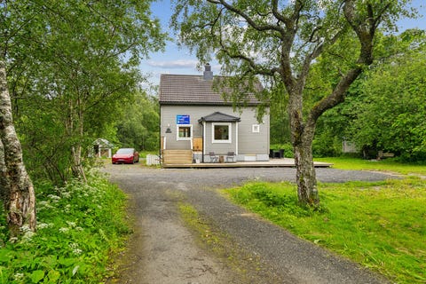 Bilde 1 av annonsen