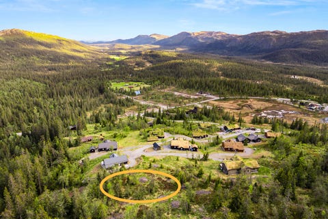 Bilde 1 av annonsen
