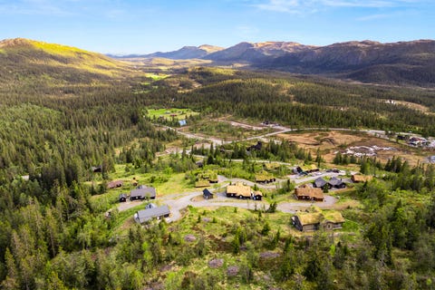 Bilde 2 av annonsen