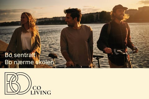 Bilde 2 av annonsen