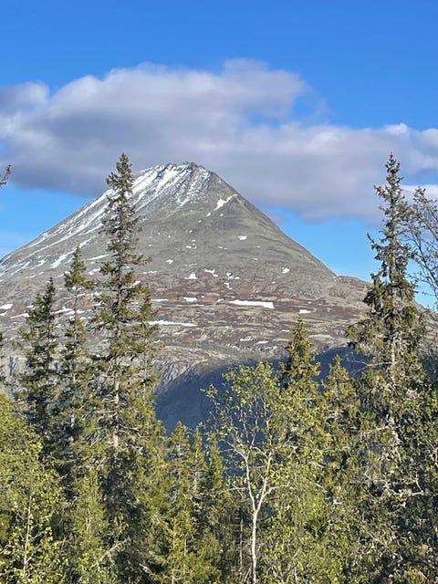 Bilde 2 av annonsen