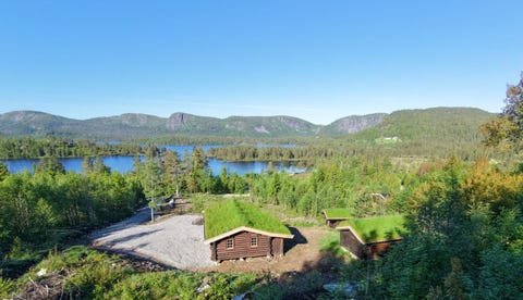 Bilde 1 av annonsen