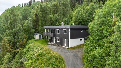 Bilde 1 av annonsen