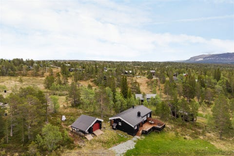 Bilde 1 av annonsen
