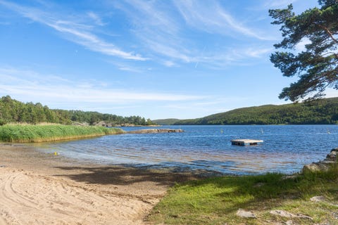 Bilde 2 av annonsen