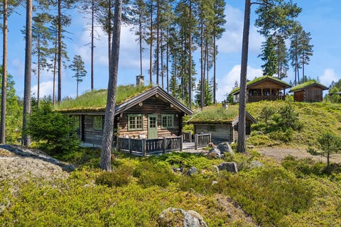 Bilde 1 av annonsen