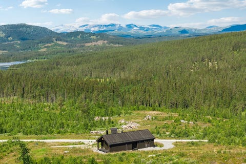 Bilde 2 av annonsen