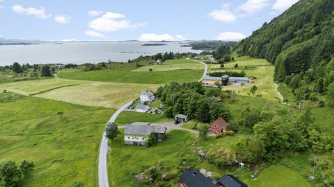 Bilde 1 av annonsen