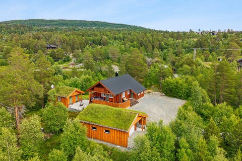 Bilde 1 av annonsen