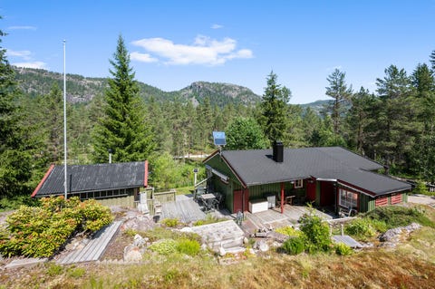 Bilde 1 av annonsen