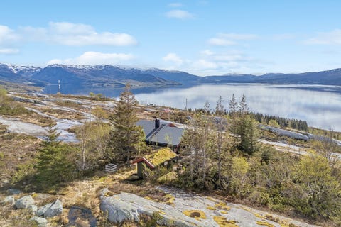 Bilde 1 av annonsen