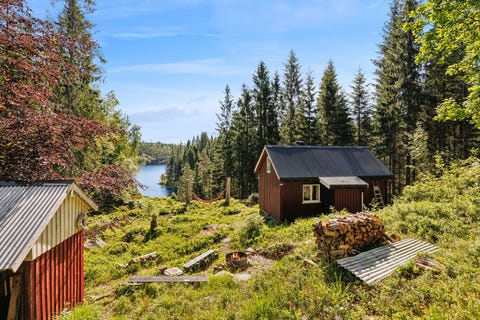 Bilde 1 av annonsen