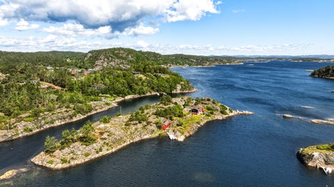 Bilde 1 av annonsen