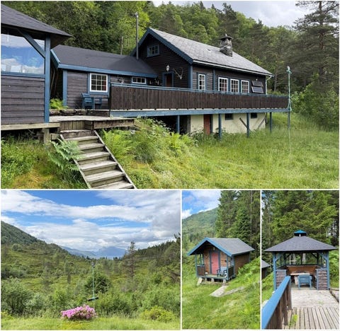 Bilde 1 av annonsen