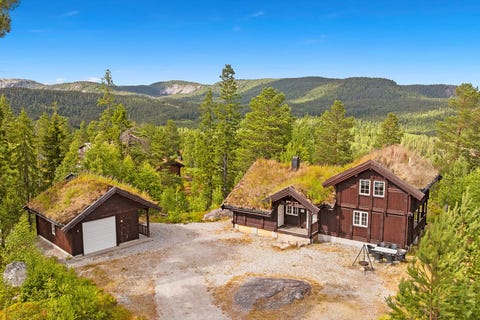 Bilde 1 av annonsen
