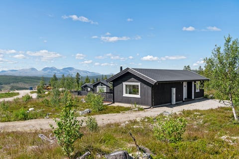 Bilde 1 av annonsen