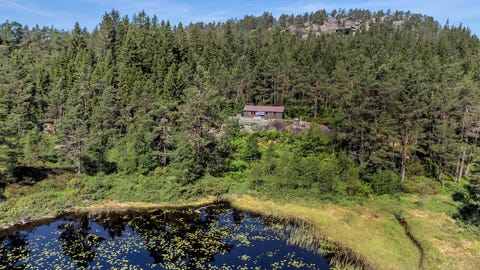 Bilde 2 av annonsen