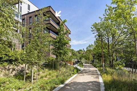 Bilde 1 av annonsen