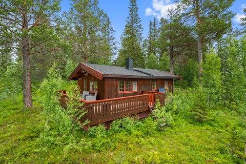 Bilde 1 av annonsen