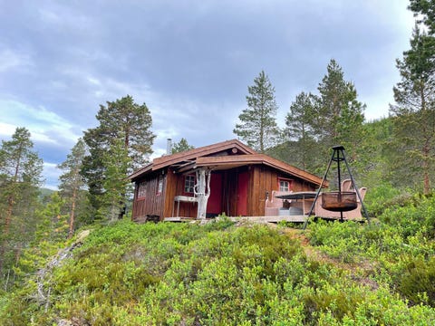 Bilde 1 av annonsen