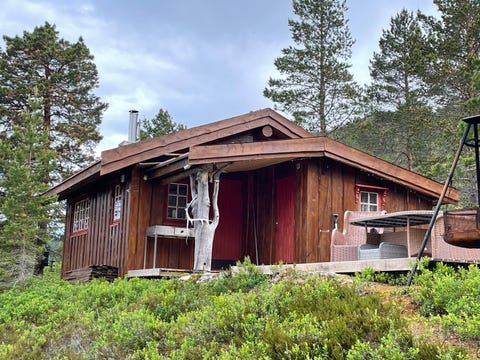 Bilde 2 av annonsen