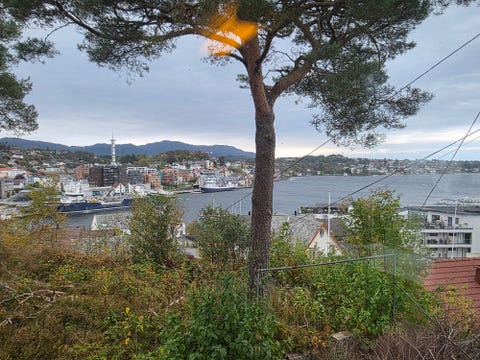 Bilde 2 av annonsen