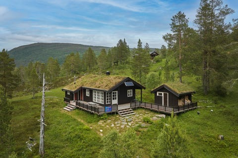 Bilde 1 av annonsen