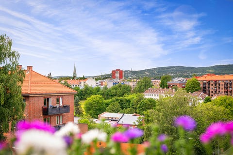 Bilde 2 av annonsen