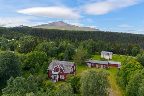 Bilde 1 av annonsen