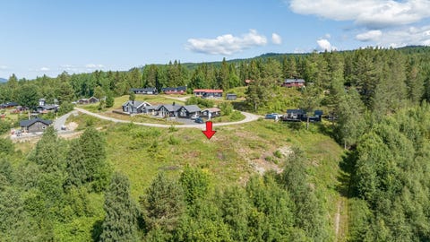 Bilde 2 av annonsen
