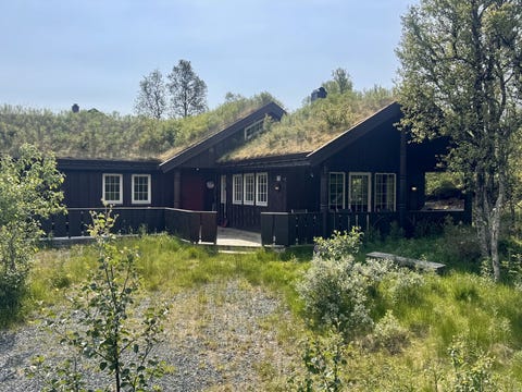 Bilde 1 av annonsen