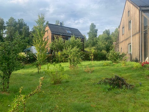 Bilde 2 av annonsen