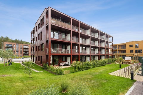 Bilde 1 av annonsen