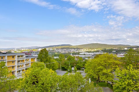 Bilde 2 av annonsen