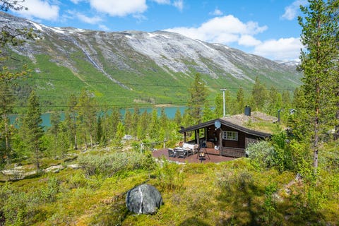 Bilde 1 av annonsen