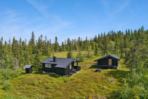 Bilde 1 av annonsen