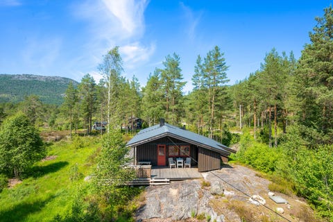 Bilde 1 av annonsen