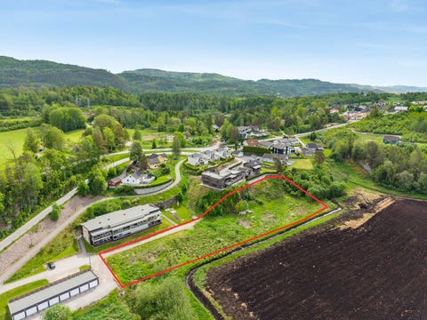 Bilde 1 av annonsen