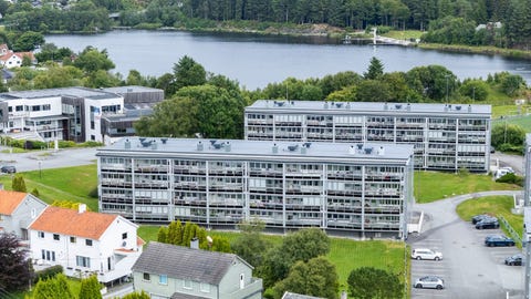 Bilde 1 av annonsen