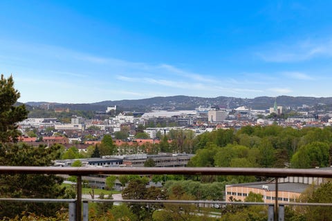 Bilde 2 av annonsen