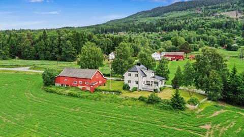 Bilde 1 av annonsen