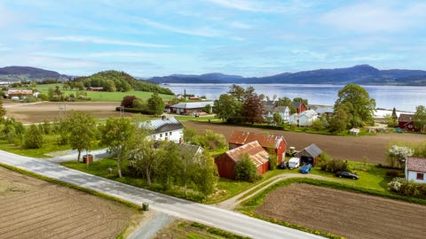 Bilde 1 av annonsen