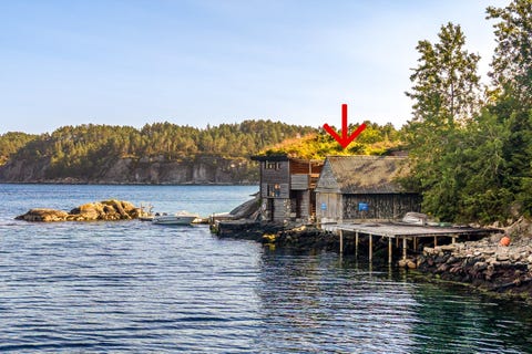 Bilde 1 av annonsen