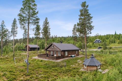 Bilde 1 av annonsen