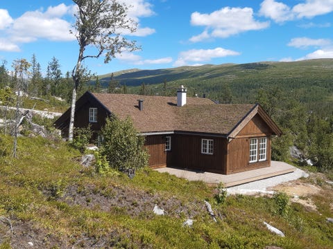 Bilde 1 av annonsen