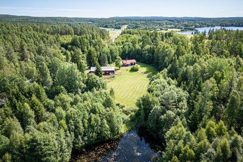 Bilde 1 av annonsen